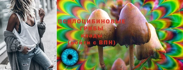 таблы Горнозаводск