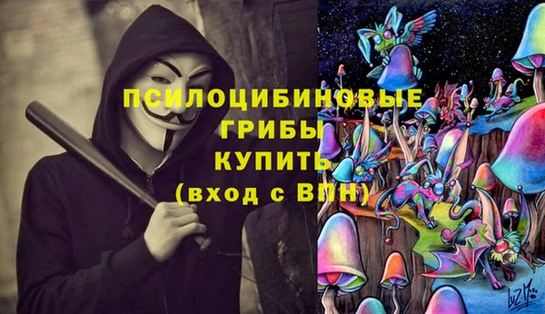 эйфоретик Магадан